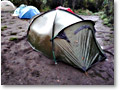 2009-02-11_06-32-28