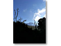 2009-02-11_08-04-05ito
