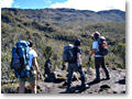 2009-02-11_10-00-32a