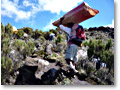 2009-02-11_10-24-17