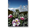 2009-02-11_10-38-23