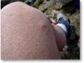 2009-02-11_11-52-51