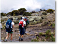 2009-02-11_12-12-46a