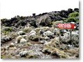2009-02-11_16-02-08