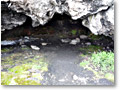 2009-02-11_16-02-36
