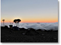 2009-02-12_06-38-48y