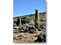 2009-02-12_09-10-07y