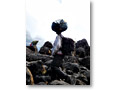 2009-02-12_10-44-18