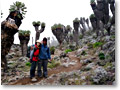 2009-02-12_13-45-53