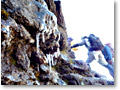 2009-02-13_09-29-47