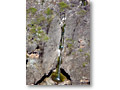 2009-02-13_09-45-25