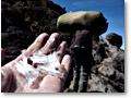 2009-02-13_09-59-18