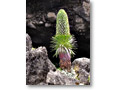 2009-02-13_11-57-29y