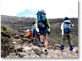 2009-02-13_12-01-46sg