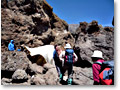 2009-02-14_11-11-13