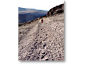 2009-02-15_07-25-27