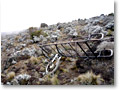 2009-02-15_11-17-37