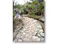 2009-02-15_12-30-49