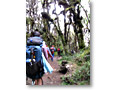 2009-02-16_08-46-44y