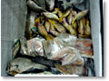 2009-02-16_14-17-31