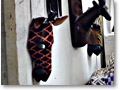 2009-02-16_16-20-17