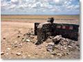 2009-02-17_12-41-59