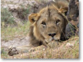 2009-02-17_12-50-20