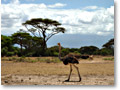 2009-02-17_13-02-57