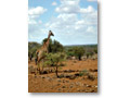 2009-02-17_13-12-19