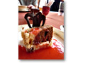 2009-02-17_14-48-42