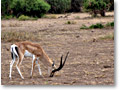 2009-02-17_16-29-37