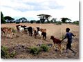 2009-02-17_16-37-56c