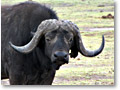 2009-02-17_16-49-03