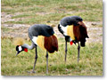 2009-02-17_17-06-29