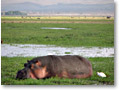 2009-02-17_17-47-07c