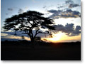 2009-02-17_18-42-18a