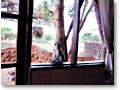2009-02-18_06-45-42