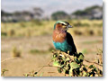 2009-02-18_08-16-58