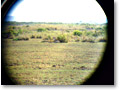 2009-02-18_08-25-48