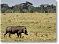 2009-02-18_09-43-57