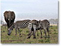 2009-02-18_09-58-47