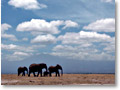2009-02-18_11-54-09