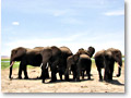 2009-02-18_13-57-10c