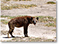 2009-02-18_14-11-42