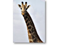 2009-02-18_15-02-42
