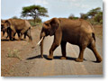 2009-02-18_15-13-42