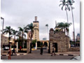 2009-02-09_08-33-21c