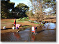 2009-02-19_07-54-31