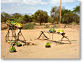 2009-02-19_10-36-40