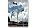 2009-02-09_12-28-39